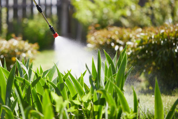 24/7 Emergency Mosquito Control experts in Big Rapids, MI