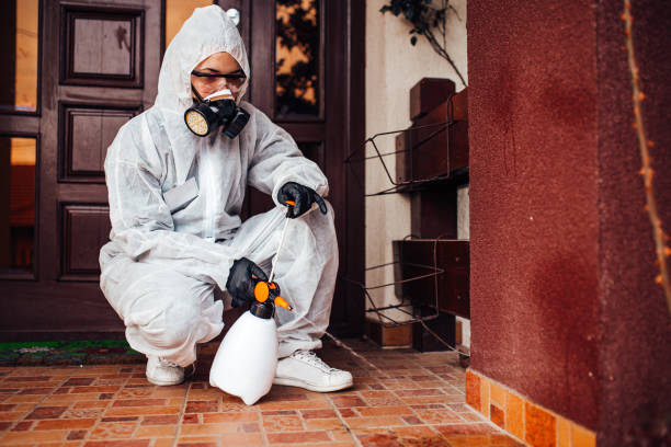 Reliable Mosquito Control contractor in Big Rapids, MI by Show Me Pest Control