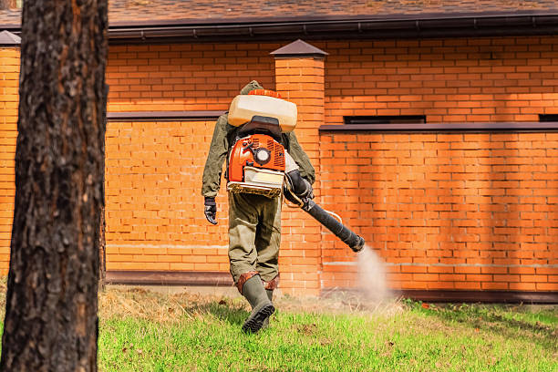 Top rated local Mosquito Control specialists in Big Rapids, MI